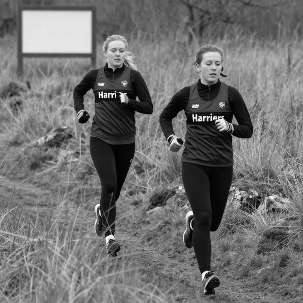 Rasselbock Backyard Ultra: Three Women Fill the Final Three, and the Arithmetic of 21 Percent Rasselbock Backyard Ultra: Three Women Fill the Final Three, and the Arithmetic of 21 Percent