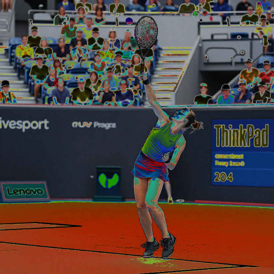 Guadalajara: The Top Seed Falls, But the Real Story Lies in the Outer Lanes